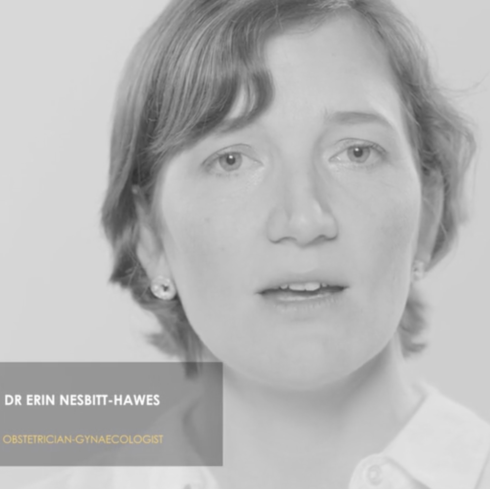 Multimedia Campaigns placeholder